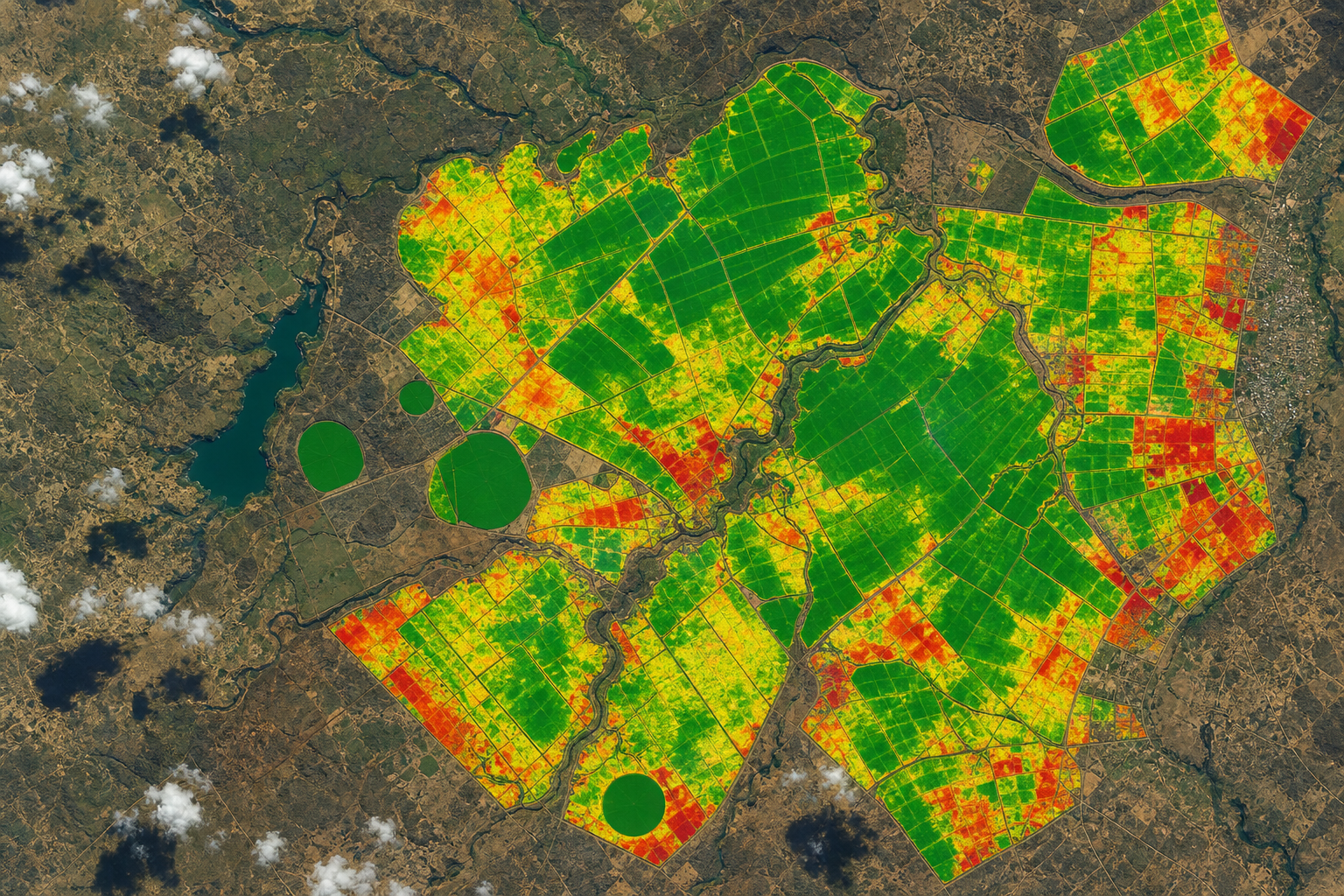Agriculture de précision NDVI